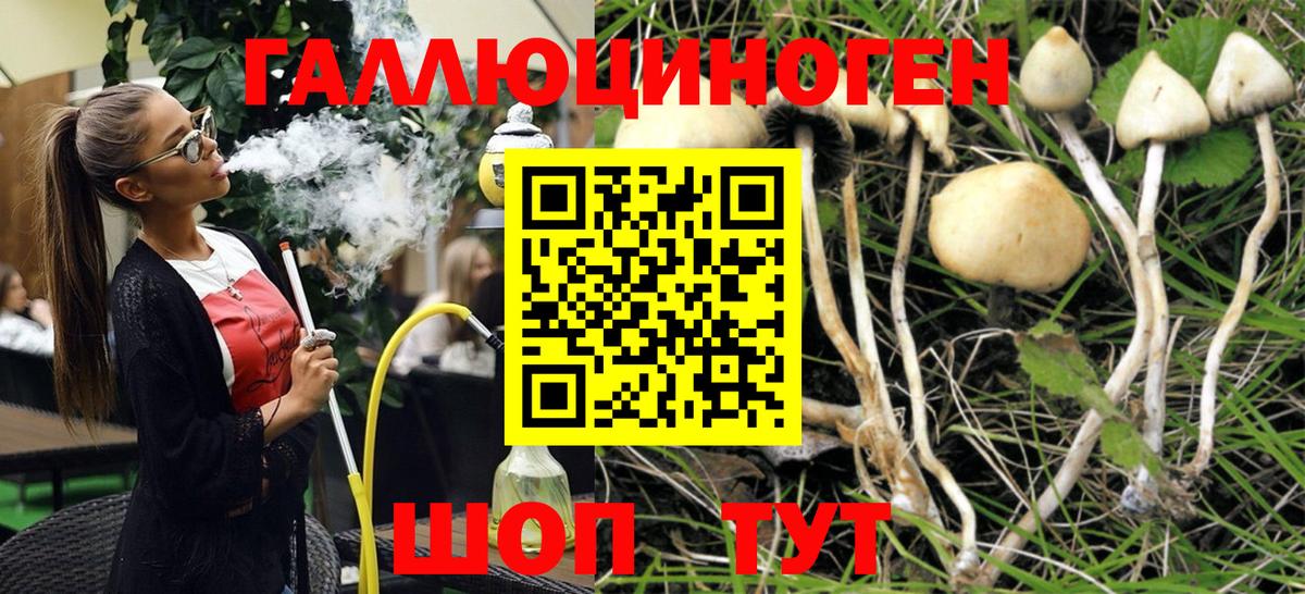 Лесосибирск  Псилоцибиновые грибы MAGIC MUSHROOMS  где найти наркотики  Галлюциногенные грибы мухоморы  Вход с VPN 
